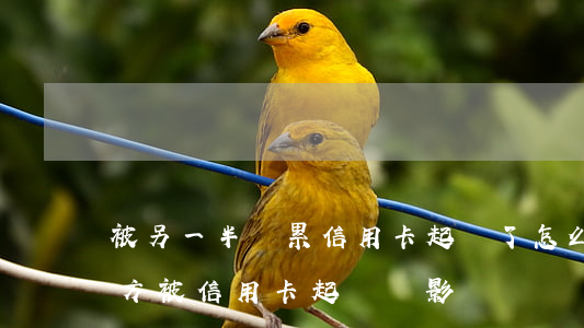 被另一半連累信用卡起訴了怎么辦-夫妻一方被信用卡起訴會影響