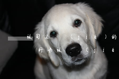 被司法凍結(jié)的銀行卡可以存錢嗎(銀行卡被凍結(jié)錢能存進去嗎)