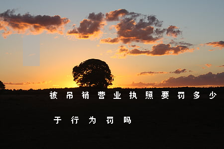 被吊销营业执照要罚多少钱(吊销营业执照属于行为罚吗)