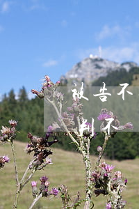 被告不出庭多久會宣判(被告不出庭多久會宣判不還錢)