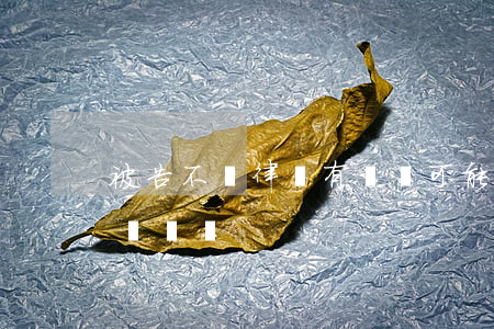 被告不請律師有勝訴可能嗎(起訴不請律師能勝訴嗎)