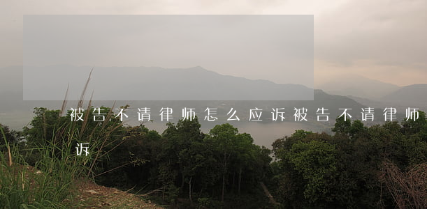 被告不请律师怎么应诉(被告不请律师怎么应诉)