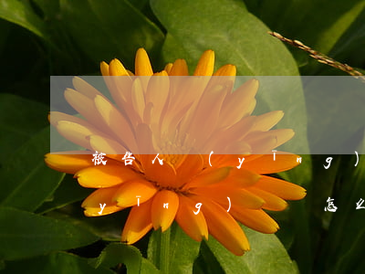 被告人應(yīng)訴狀怎么寫(被告應(yīng)訴書怎么寫)