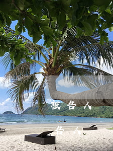 被告人沒錢償還怎么辦(債務(wù)起訴被告人沒錢還怎么辦)