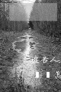 被告人沒錢償還怎么辦詐騙(詐騙被告沒有錢賠償怎么辦)
