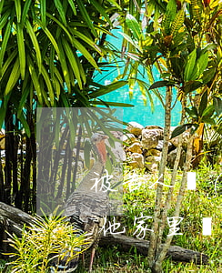 被告人無(wú)力償還債務(wù)能讓他家里還嗎-被告人無(wú)力償還債務(wù)能讓他家里還嗎怎么辦