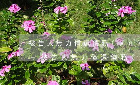 被告人無力償還債務(wù)家屬有影響嗎-被告人無力償還債務(wù)家屬有影響嗎怎么辦
