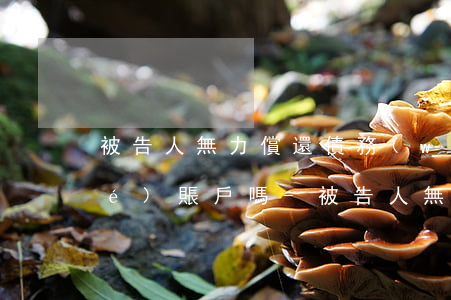 被告人無力償還債務(wù)會凍結(jié)賬戶嗎-被告人無力償還債務(wù)會凍結(jié)賬戶嗎怎么辦