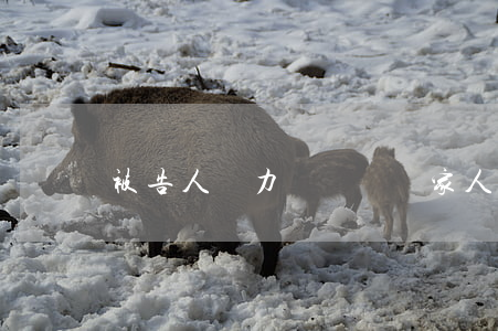被告人無力償還債務家人能代償還