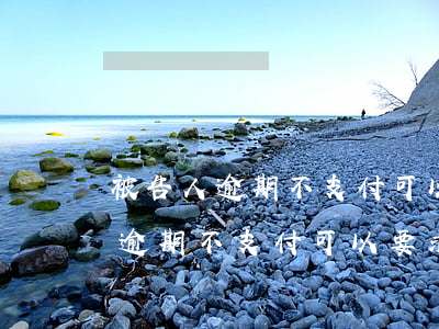 被告人逾期不支付可以要求賠償嗎-被告人逾期不支付可以要求賠償嗎法院