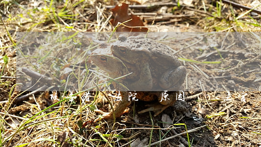 被告借錢法院問原因嗎-法官問被告借款用途