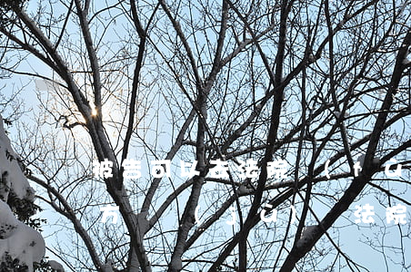 被告可以去法院復(fù)印對(duì)方證據(jù)嗎(法院調(diào)取的證據(jù)當(dāng)事人可以復(fù)印嗎)