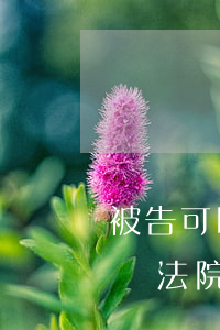 被告可以去法院復(fù)印證據(jù)嗎(法院庭審筆錄 可以復(fù)印作為證據(jù)嗎)