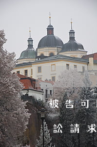 被告可以提訴訟請求嗎(被告可以駁回原告訴訟請求嗎?)