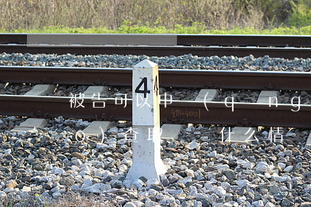 被告可以申請(qǐng)法院調(diào)查取證嗎(什么情況下可以申請(qǐng)法院調(diào)查取證)