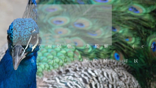 被告可以申請法院解凍財(cái)產(chǎn)嗎(法院起訴可以凍結(jié)被告所有資產(chǎn)嗎?)