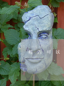 被告可以要求法院拍卖自己房子吗