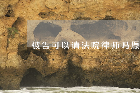 被告可以请法院律师吗(原告可以请律师吗)