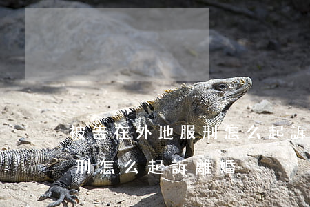 被告在外地服刑怎么起訴離婚(被告在外地服刑怎么起訴離婚)