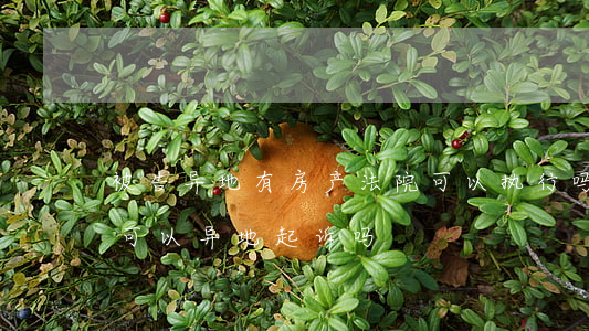 被告异地有房产法院可以执行吗(请问在法院可以异地起诉吗)