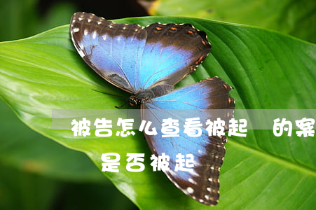 被告怎么查看被起訴的案件信息(被告怎么查詢是否被起訴)