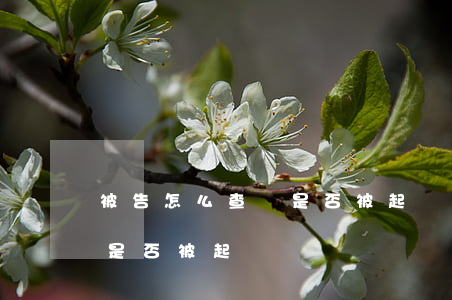 被告怎么查詢是否被起訴(被告如何查詢自己是否被起訴)