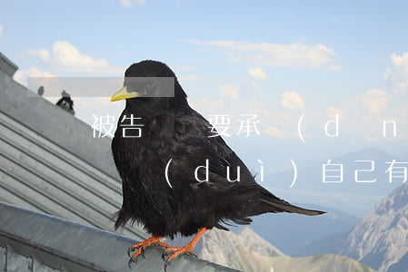 被告敗訴要承擔(dān)什么后果(被告敗訴對(duì)自己有什么影響)
