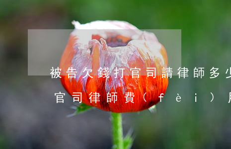被告欠錢打官司請律師多少錢(欠款請律師打官司律師費(fèi)用怎么收)