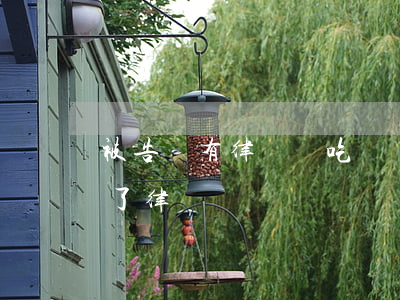 被告沒有律師會吃虧嗎(原告沒請律師被告請了律師)