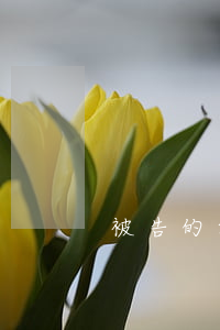 被告的答辯狀怎么寫(被告人如何寫答辯書)