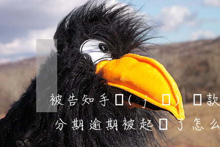 被告知手機(jī)貸款逾期(手機(jī)分期逾期被起訴了怎么辦)