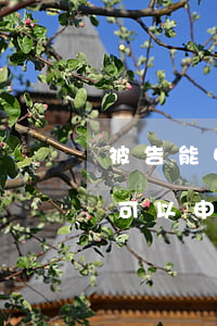 被告能申請(qǐng)法律援助么(被告方可以申請(qǐng)法律援助嗎)