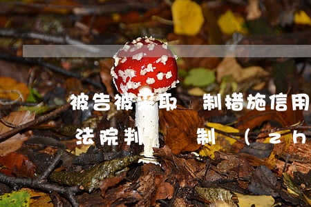 被告被采取強制措施信用卡逾期（信用卡逾期法院判決強制執(zhí)行）