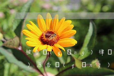 被告請(qǐng)律師多少錢(qián)(原告請(qǐng)律師費(fèi)用誰(shuí)承擔(dān))