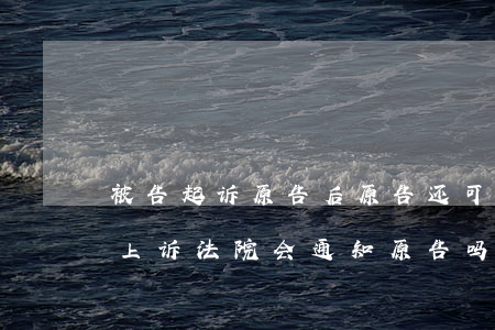 被告起诉原告后原告还可以起诉被告吗(被告上诉 法院会通知原告吗)