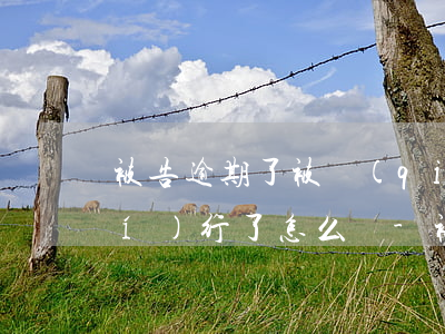 被告逾期了被強(qiáng)制執(zhí)行了怎么辦-被告逾期了被強(qiáng)制執(zhí)行了怎么辦呢