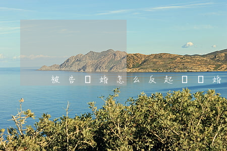 被告離婚怎么反起訴(離婚被告怎樣反駁原告)