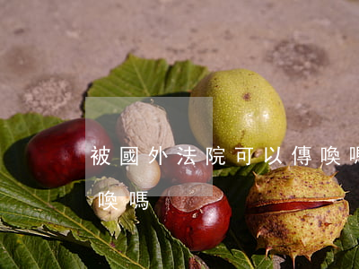 被國外法院可以傳喚嗎(對外國人可以強制傳喚嗎)