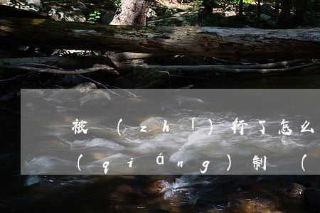 被執(zhí)行了怎么申訴(對方申請了強(qiáng)制執(zhí)行,被執(zhí)行人可以申訴嗎?)