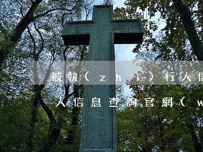 被執(zhí)行人信息(被執(zhí)行人信息查詢官網(wǎng))