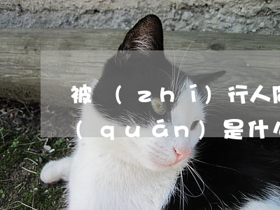 被執(zhí)行人同時(shí)抗辯權(quán)是什么意思