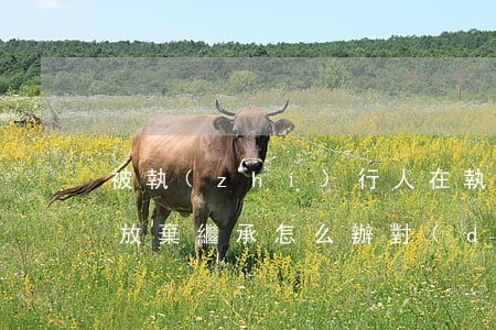 被執(zhí)行人在執(zhí)行階段放棄繼承怎么辦(對(duì)被執(zhí)行人繼承的財(cái)產(chǎn)的執(zhí)行)