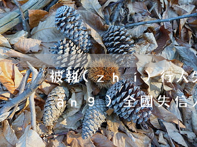 被執(zhí)行人失信名單查詢官網(wǎng)(全國失信人員被執(zhí)行人名單查詢)