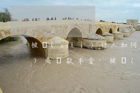 被執(zhí)行人如何去法院協(xié)商還款本金-被執(zhí)行人如何去法院協(xié)商還款本金呢