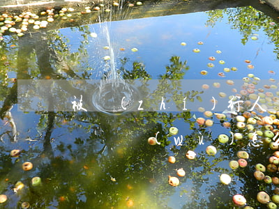 被執(zhí)行人實(shí)在無力償還債務(wù)怎么辦-被執(zhí)行人實(shí)在無力償還債務(wù)怎么辦理