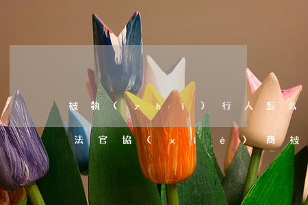 被執(zhí)行人怎么跟執(zhí)行法官協(xié)商(被法院執(zhí)行了可以聯(lián)系法院協(xié)商嗎)