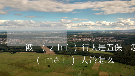 被執(zhí)行人是五保戶怎么辦(五保戶沒(méi)人管怎么辦)