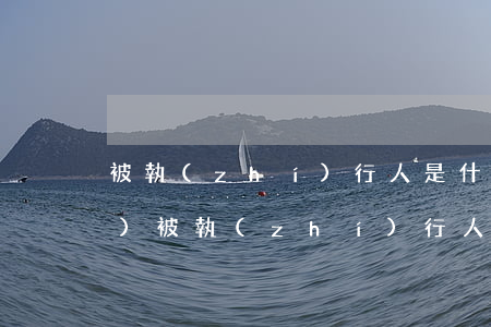 被執(zhí)行人是什么意思(企業(yè)被執(zhí)行人是什么意思)