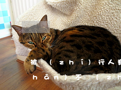 被執(zhí)行人有財(cái)產(chǎn)不執(zhí)行拘留嗎