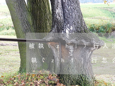 被執(zhí)行人沒有財產(chǎn)執(zhí)行怎么辦(被執(zhí)行人沒有財產(chǎn)執(zhí)行怎么辦,包括孩子)